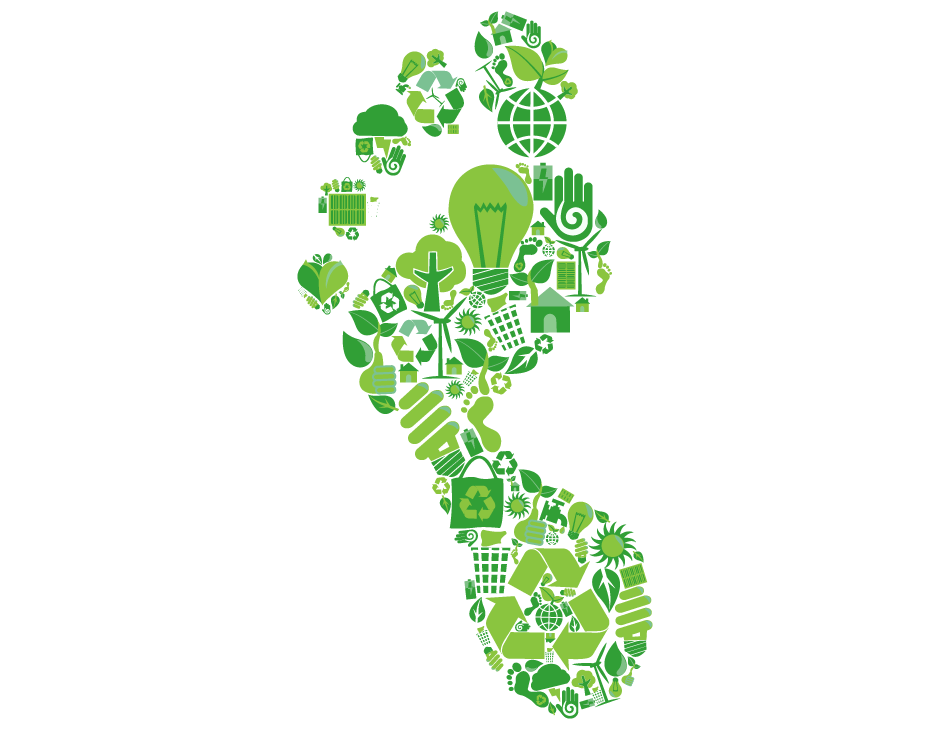 Mole Valley Website – What are we doing -19 Graphic of footprint made up of various sustainability symbols